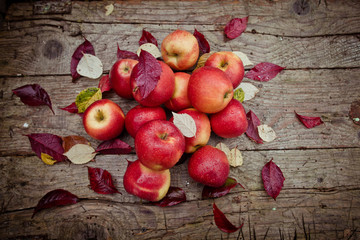 яблоки в деревне © meatbull