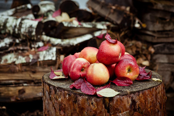 яблоки в деревне © meatbull