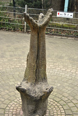 Statue offene Hände Solingen Fauna