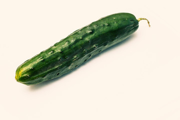 zucchina