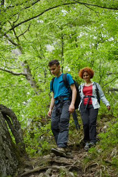 Family of hikers walking on a mountain trail