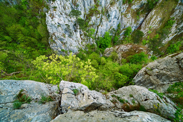 Rocky ravine on mountains