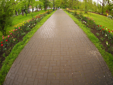 The wide pavement in the park of the tiles during spring rain