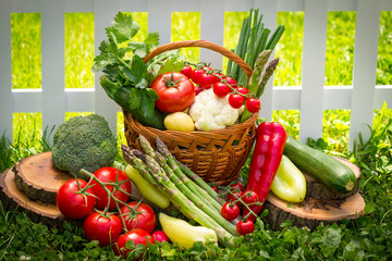 Vegetables in the garden