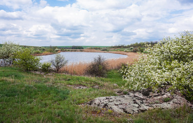 Безлюдный простор. Украина, Николаевская область