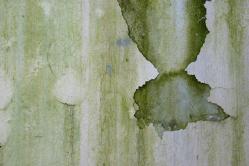 Old wall