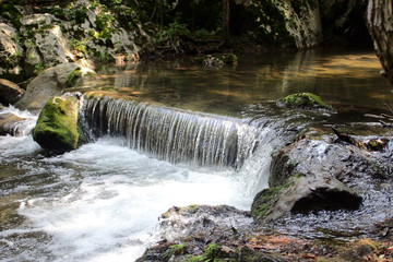Waterfall on the river in the forest