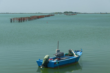 Mussels cultivation, Scardovari lagoon, Adriatic sea, Italy.