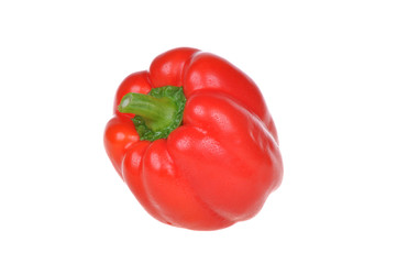 vegetables on white background