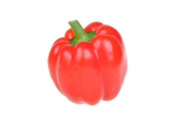 vegetables on white background