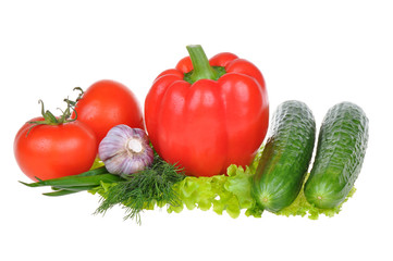 vegetables on white background