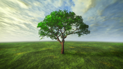 Fototapeta na wymiar 3D cloud and tree with green concept