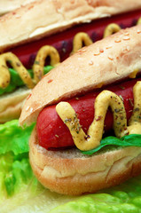 Hot Dog Close Up