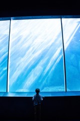 Young man looking at a giant aquarium 