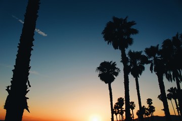 sunsets on the beach