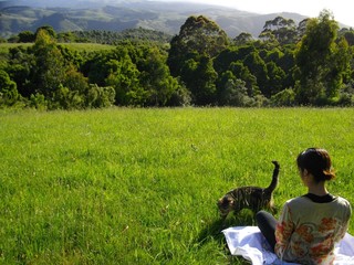 Meditation with a cat