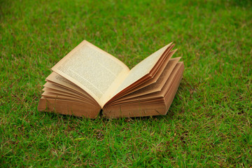Stock Photo - Open book on nature background