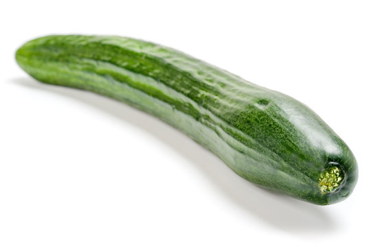 Cucumber