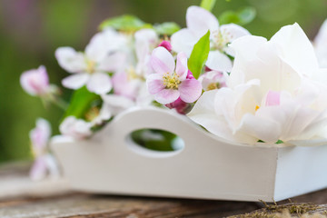 Tulpe und Apfelblüten auf Tablett