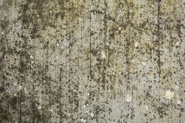 wall texture