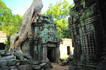 Fototapeta na wymiar Ruins of Ta Prohm Temple in Cambodia