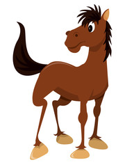 Cartoon Horse Standing