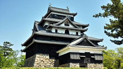 Fototapeta premium 松江城 天守閣