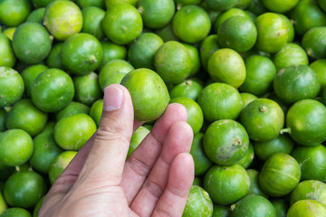 Hand holding lime at market,Thailand
