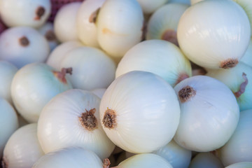 White onion bulb in market,Thailand