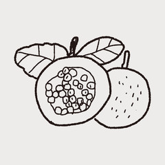 Passion Fruit doodle