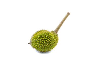 Durian,King of fruits isolated on white background