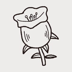flower doodle
