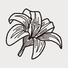 flower doodle
