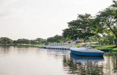 the line of duck pedal boat in the park
