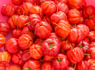 acerola fruit