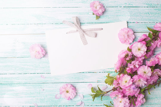 Postcard with pink flowers and empty tag for your text