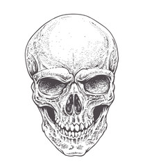 Dotwork Skull
