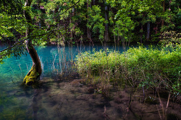 Fototapeta premium Lakes