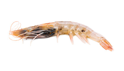 Raw tiger shrimp.