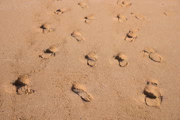 Spuren im Sand