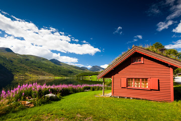 Fototapeta premium Picturesque landscape of Norway countryside