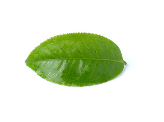 Fototapeta na wymiar green tea isolated on white background
