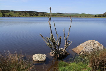 Fototapeta na wymiar lac du pêcher, 15, Auvergne