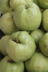Guava fruit