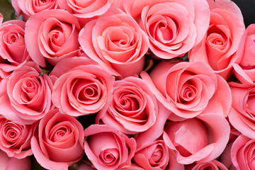 pink rose flower bouquet background