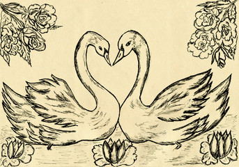 Swans in the Pond Sketch