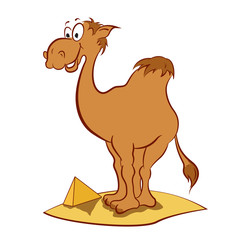 camel