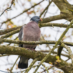 I Know What You're Thinking