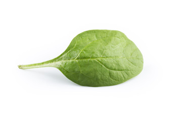 Green spinach on a white background