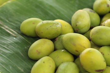 mango fruit